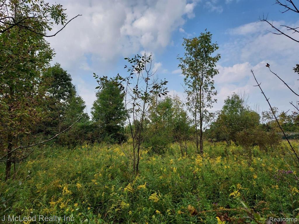 Vl Vassar Road Millington, MI 48746 - Photo 9 of 26