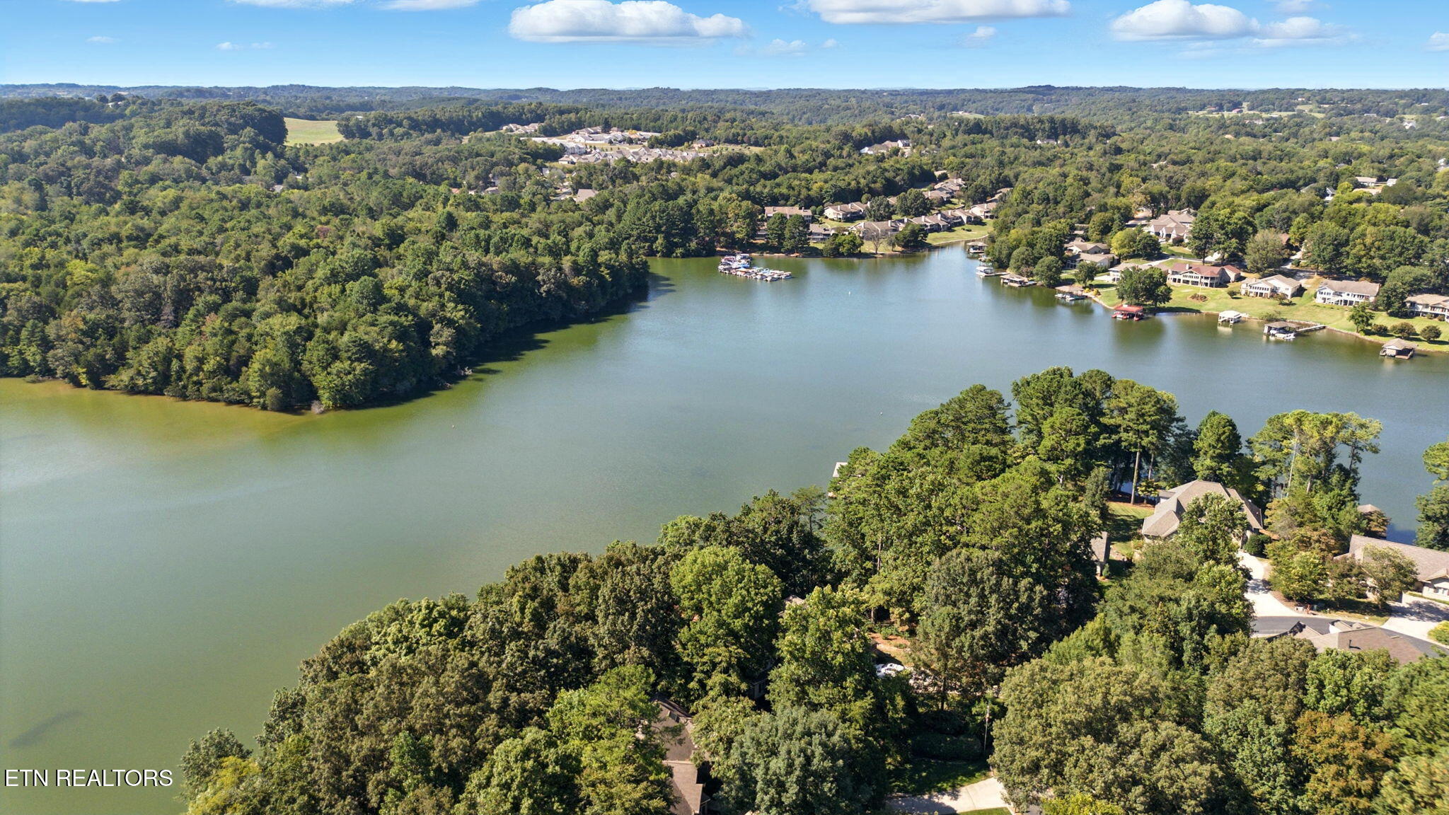 121 Inagehi Way Loudon, TN 37774 - Photo 36 of 38 43-web-or-mls-DJI_0477