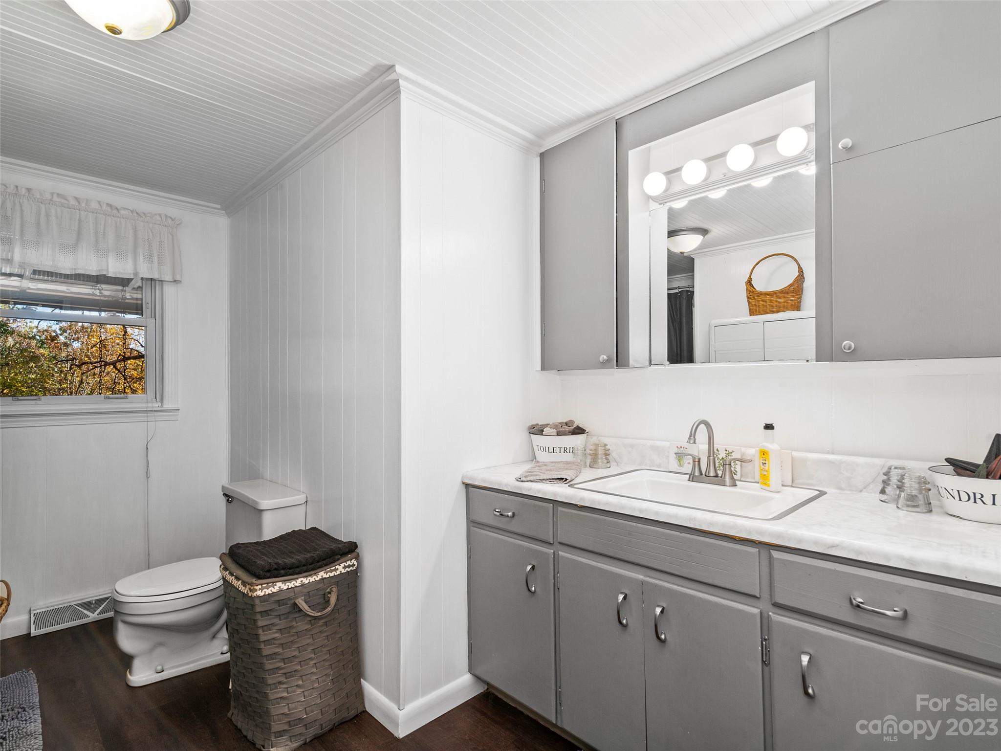 329 Star Ridge Road Canton, NC 28716 - Photo 21 of 37 a bathroom with a toilet a sink and mirror