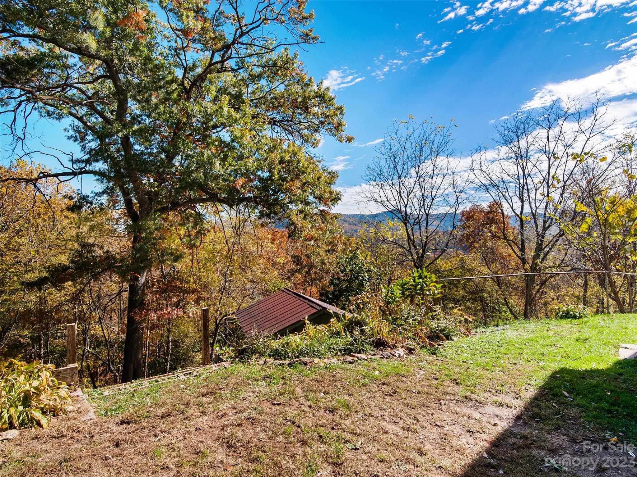 329 Star Ridge Road Canton, NC 28716 - Photo 28 of 37 a view of a dry yard with large trees