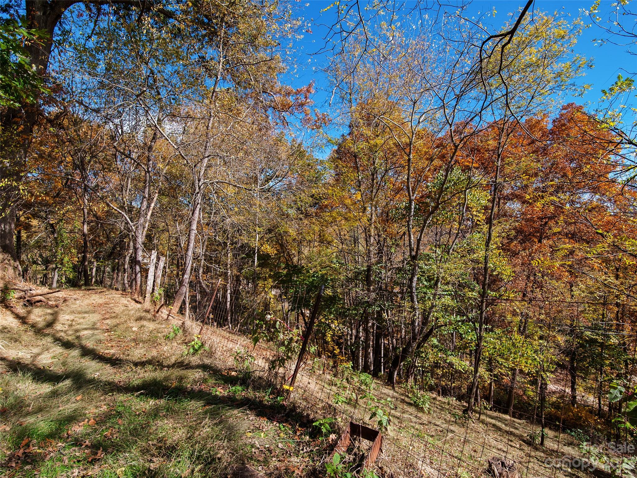 329 Star Ridge Road Canton, NC 28716 - Photo 29 of 37 a view of a yard with plants and trees