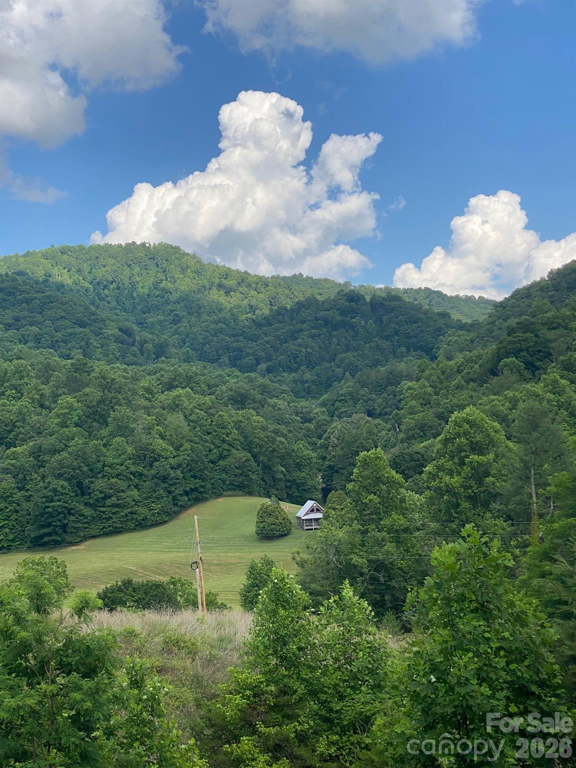 0 East Fork Road Marshall, NC 28753 - Photo 10 of 22