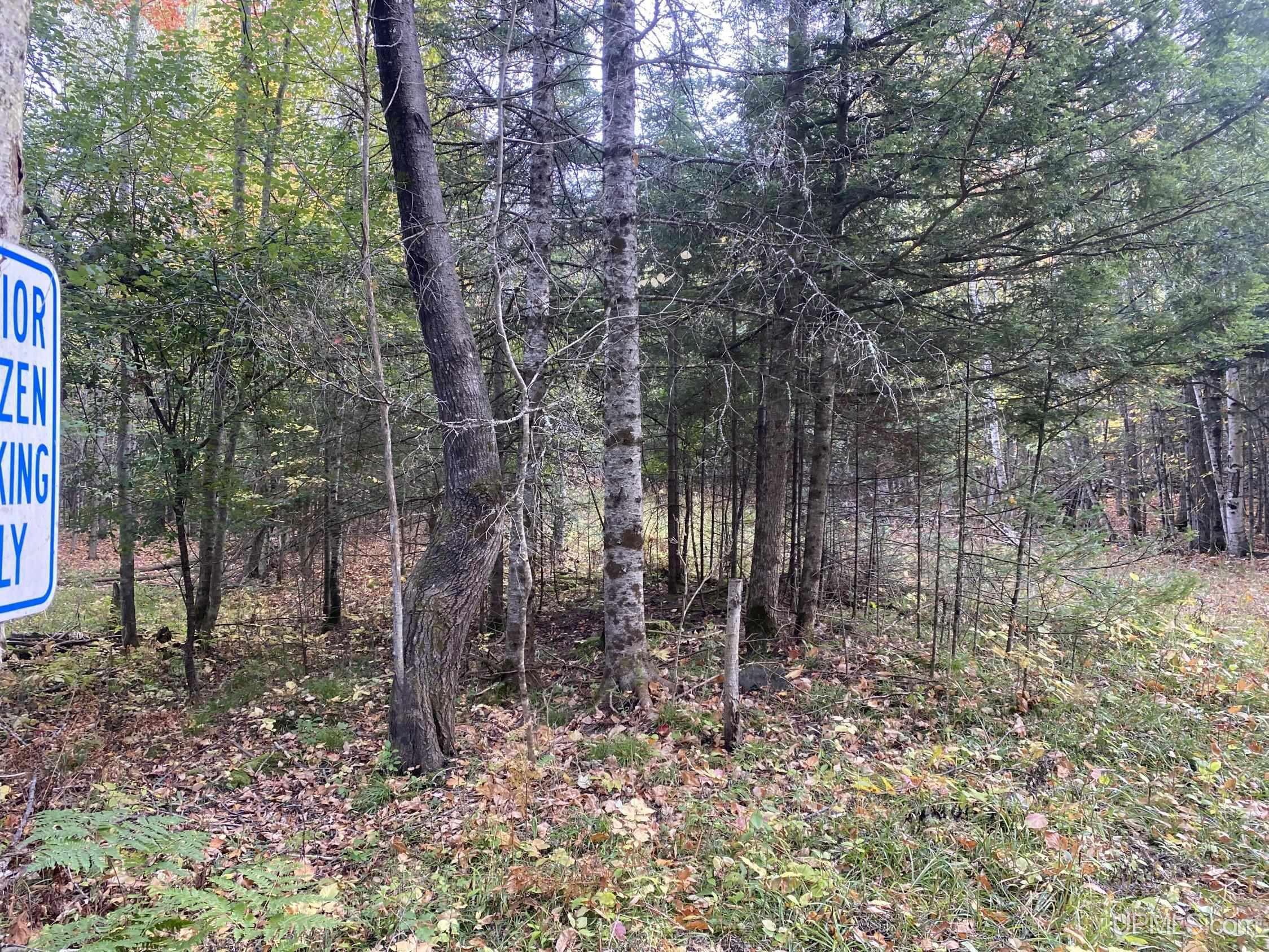 2926 Miller Road Homestead, WI 54121 - Photo 18 of 24