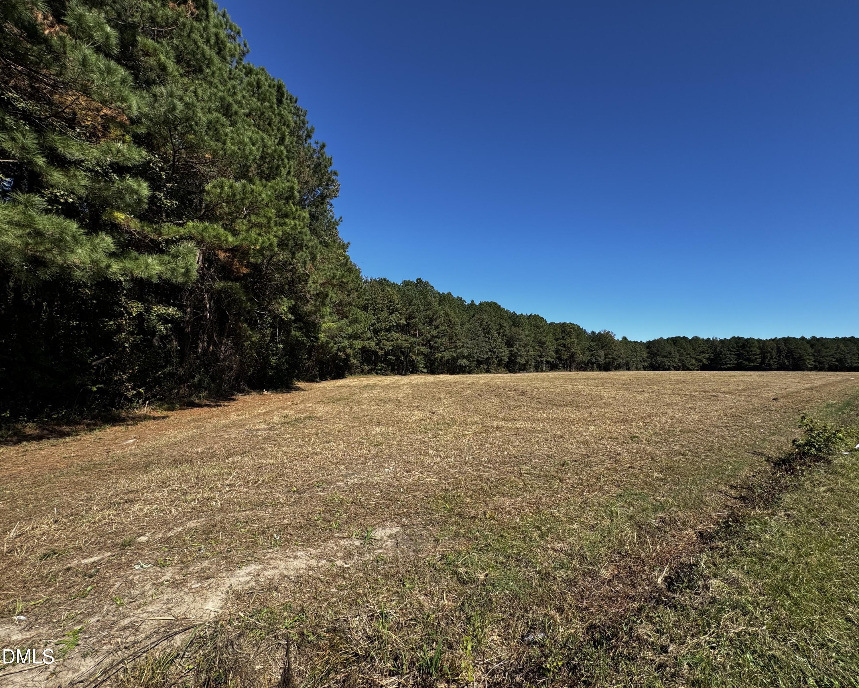 0 Crocker Road Smithfield, NC 27577 - Photo 4 of 14 a view of lake and mountain
