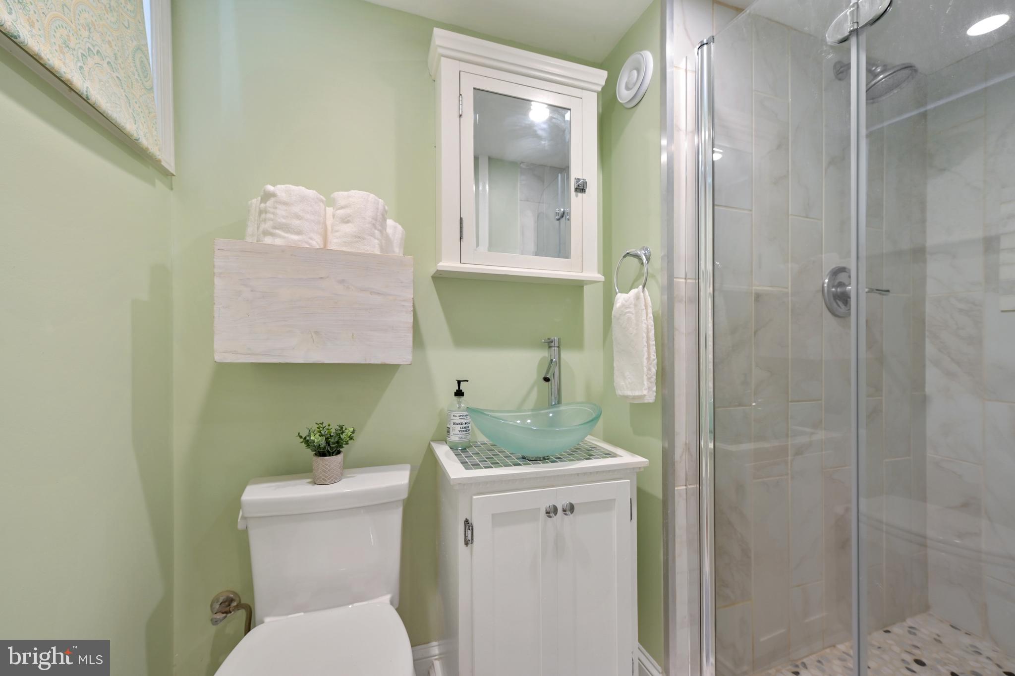 353 Whitfield Road Catonsville, MD 21228 - Photo 26 of 30 Lower level bathroom with stall shower!
