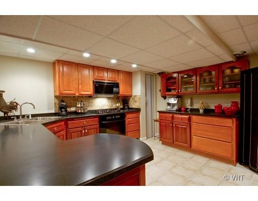 53 Park Lane, Unit 53 Park Ridge, IL 60068 - Photo 16 of 16 a kitchen with stainless steel appliances granite countertop a sink a stove counter space and cabinets