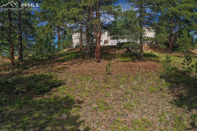 3576 Pathfinder Road Florissant, CO 80816 - Photo 43 of 44 Gallery Image 43