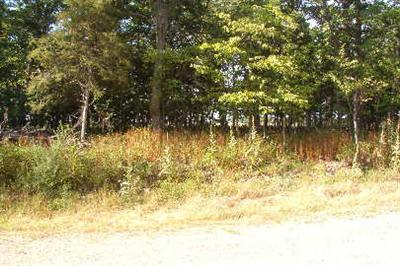 1160 Hopkins Road, Unit L Lyons, MI 48851 - Photo 1 of 7 Primary Photo