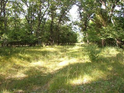 1160 Hopkins Road, Unit L Lyons, MI 48851 - Photo 3 of 7 Additional Photo