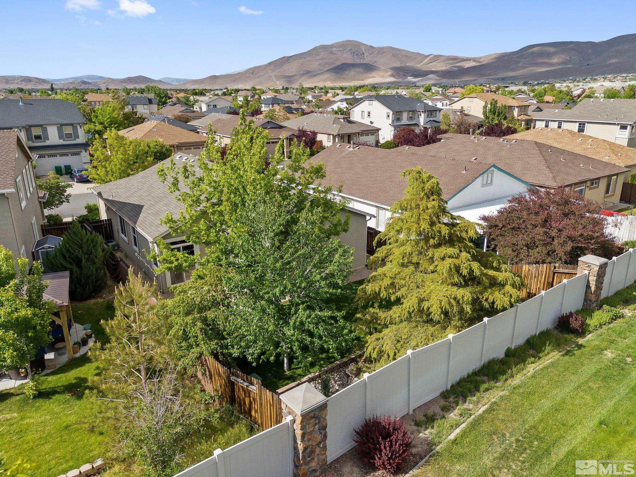 2348 Clementine Lane Reno, NV 89521 - Photo 38 of 38 an aerial view of residential houses with outdoor space and trees