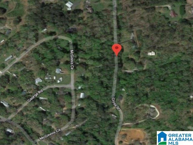 0 Cross Street, Unit 2 80 ACRES Springville, AL 35146 - Photo 8 of 8