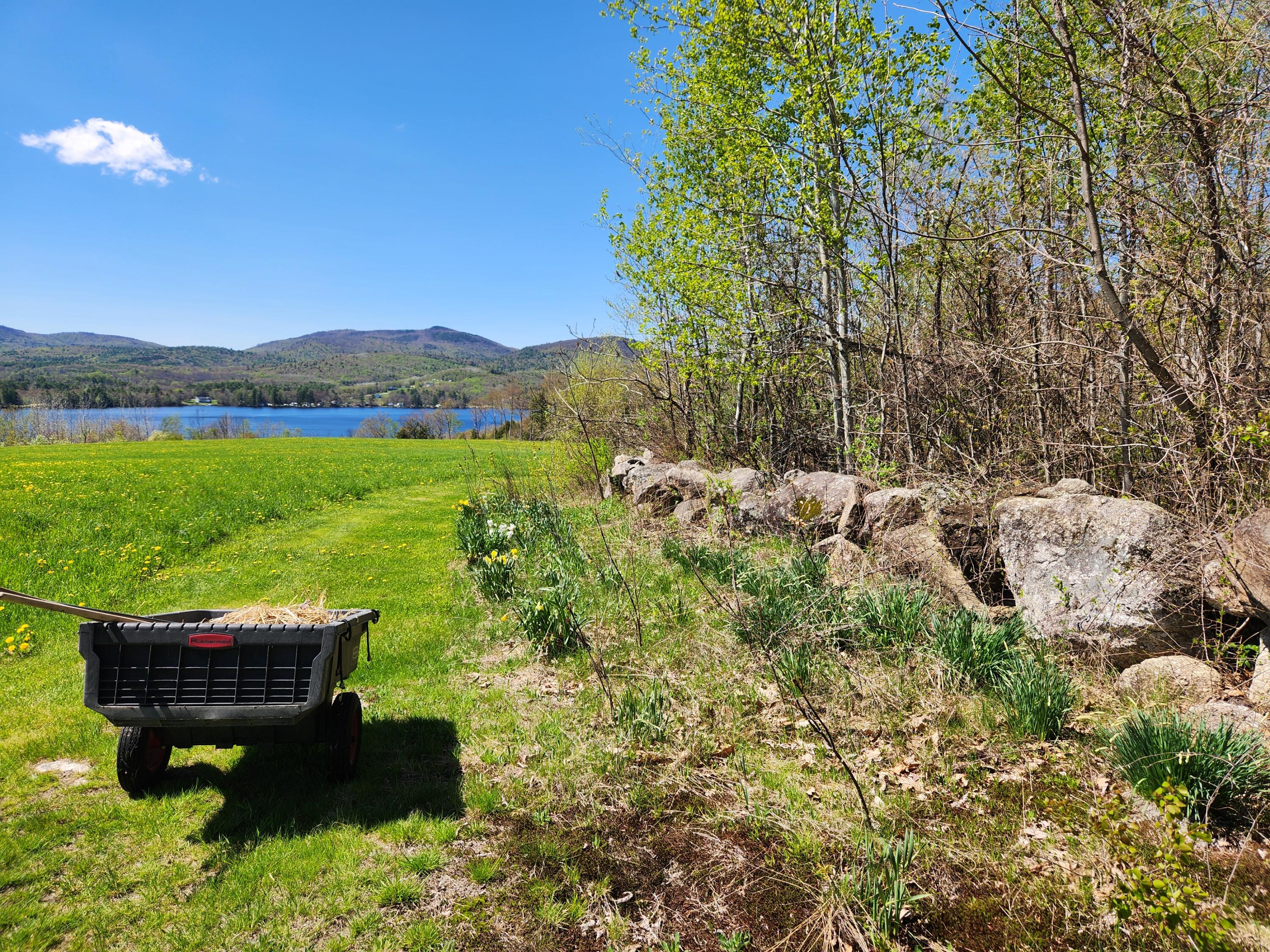286 Staples Hill Road Canton, ME 04221 - Photo 78 of 118 20260516_143019