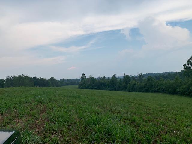 706 Montgomery Road Wellington, KY 40387 - Photo 13 of 20 IMG_4243