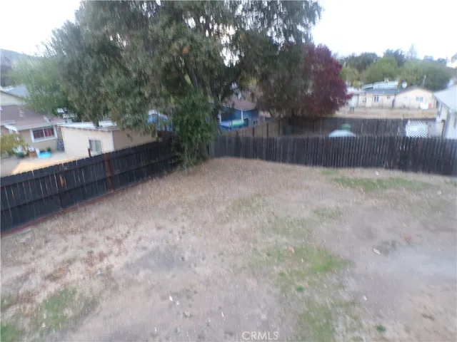 a view of backyard and tree