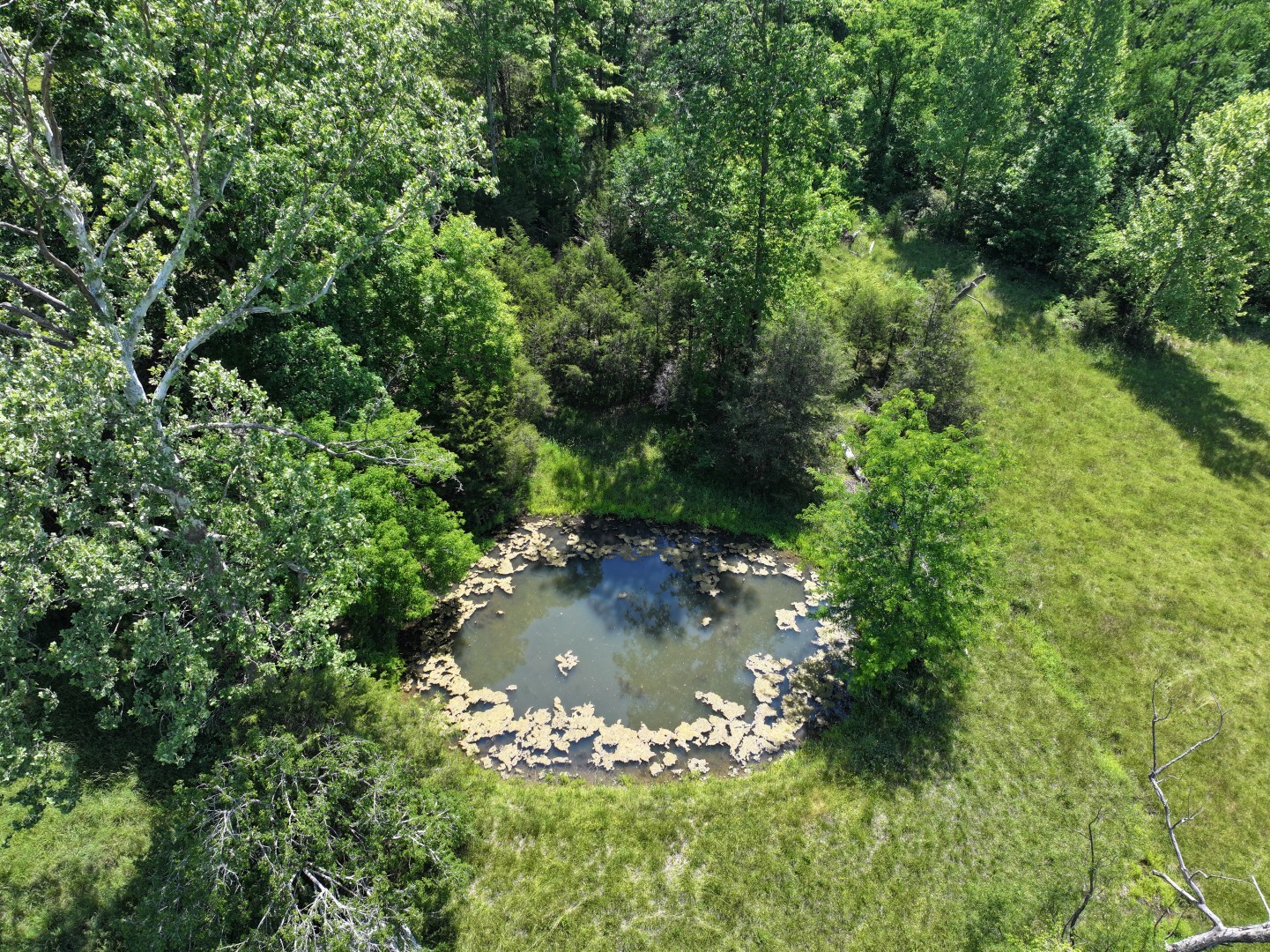 110 Wade Reed Road White Bluff, TN 37187 - Photo 39 of 80