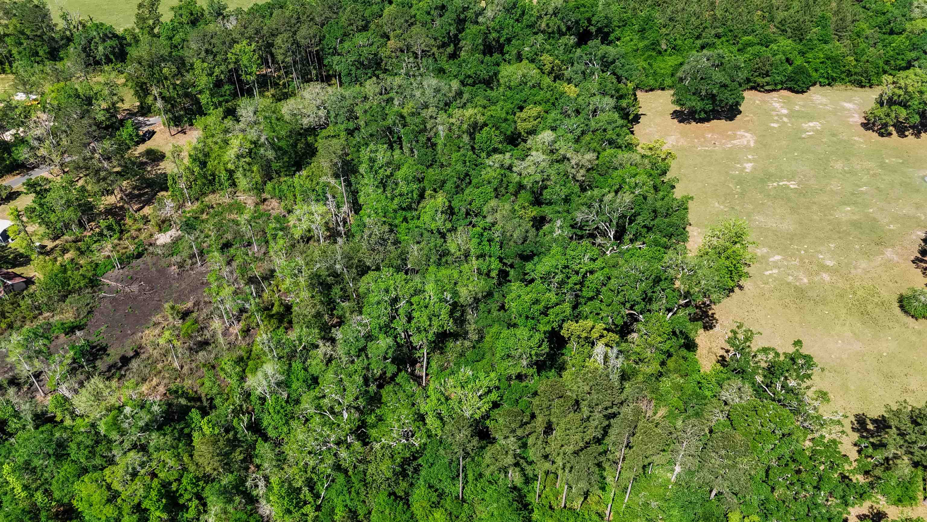 Xxx Hopson Road Monticello, FL 32344 - Photo 11 of 29