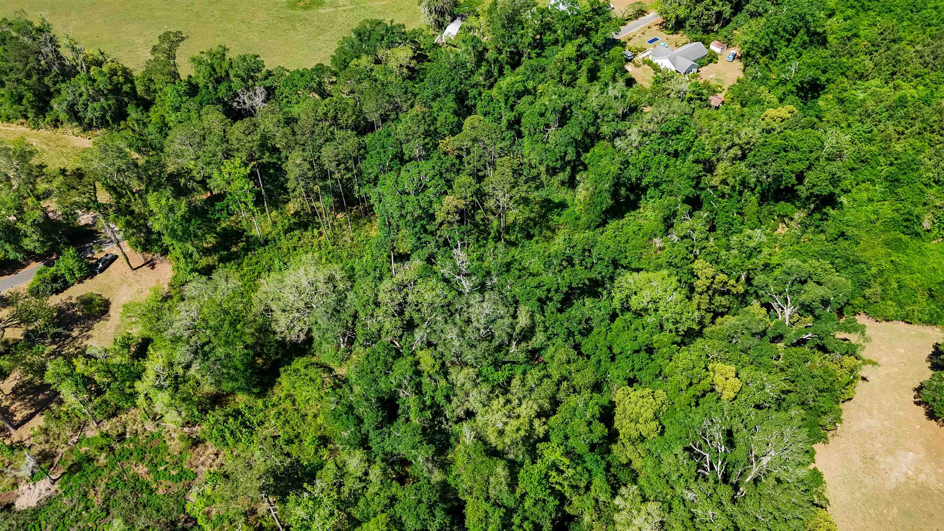 Xxx Hopson Road Monticello, FL 32344 - Photo 14 of 29