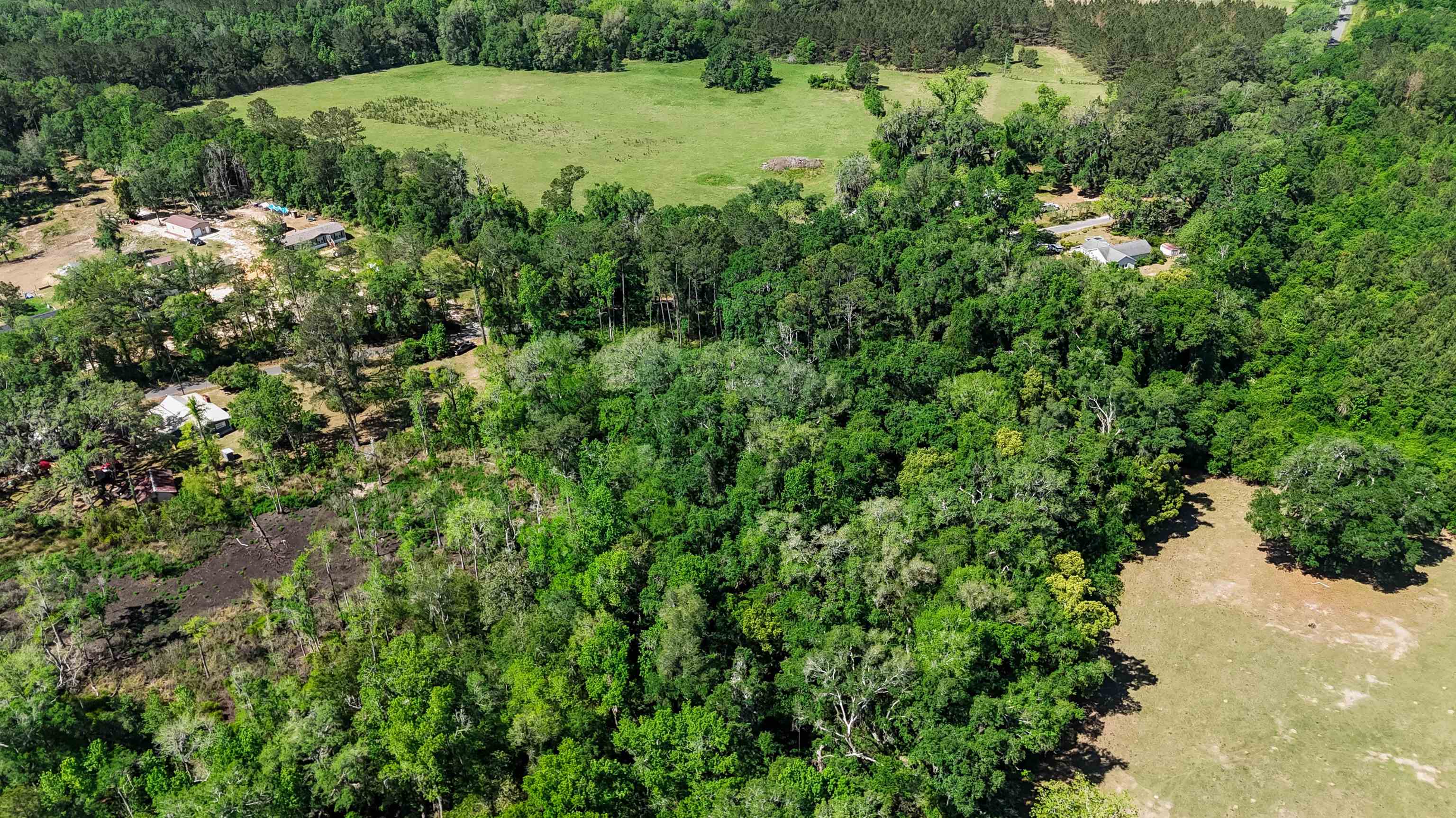 Xxx Hopson Road Monticello, FL 32344 - Photo 15 of 29