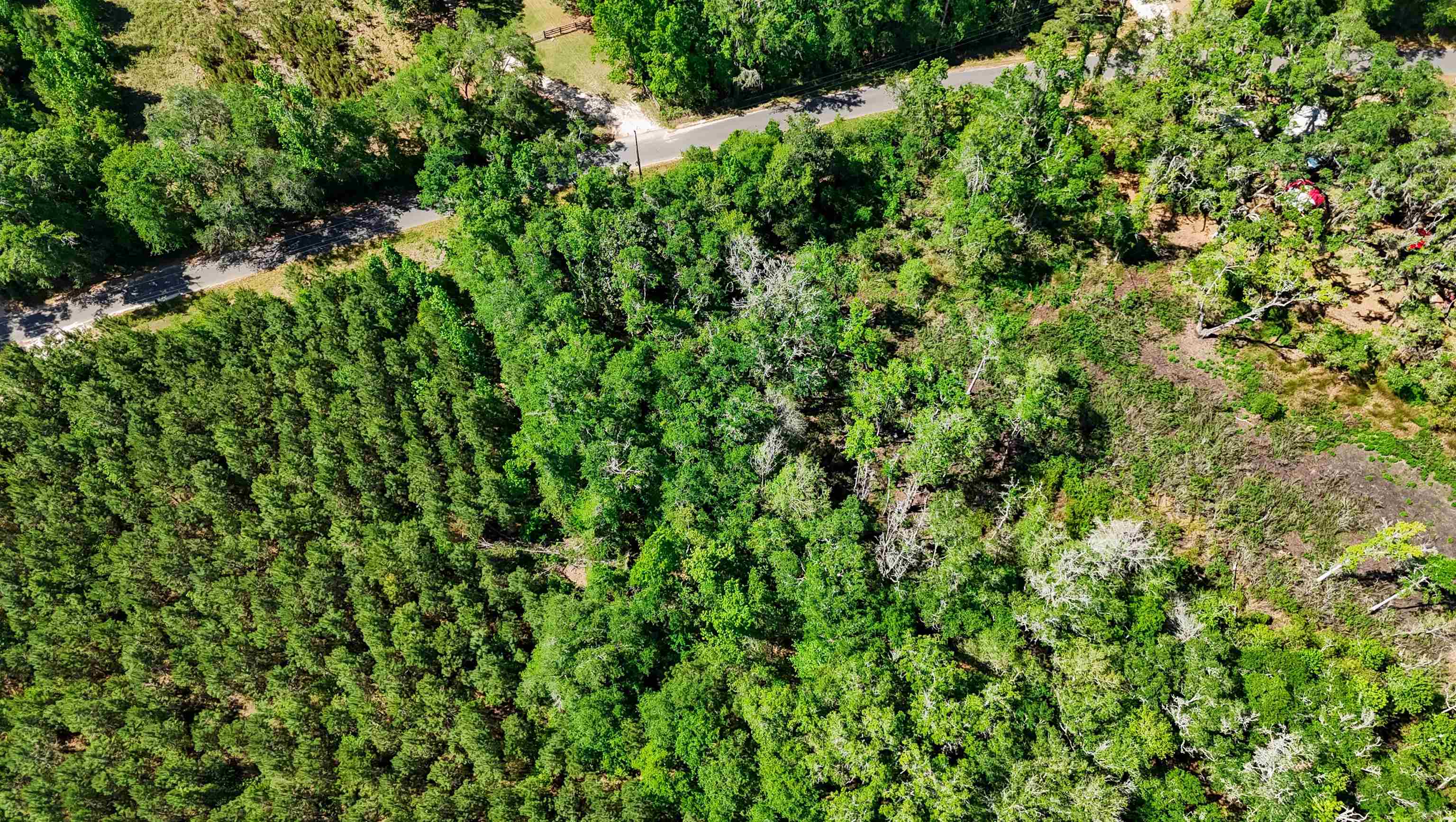 Xxx Hopson Road Monticello, FL 32344 - Photo 16 of 29