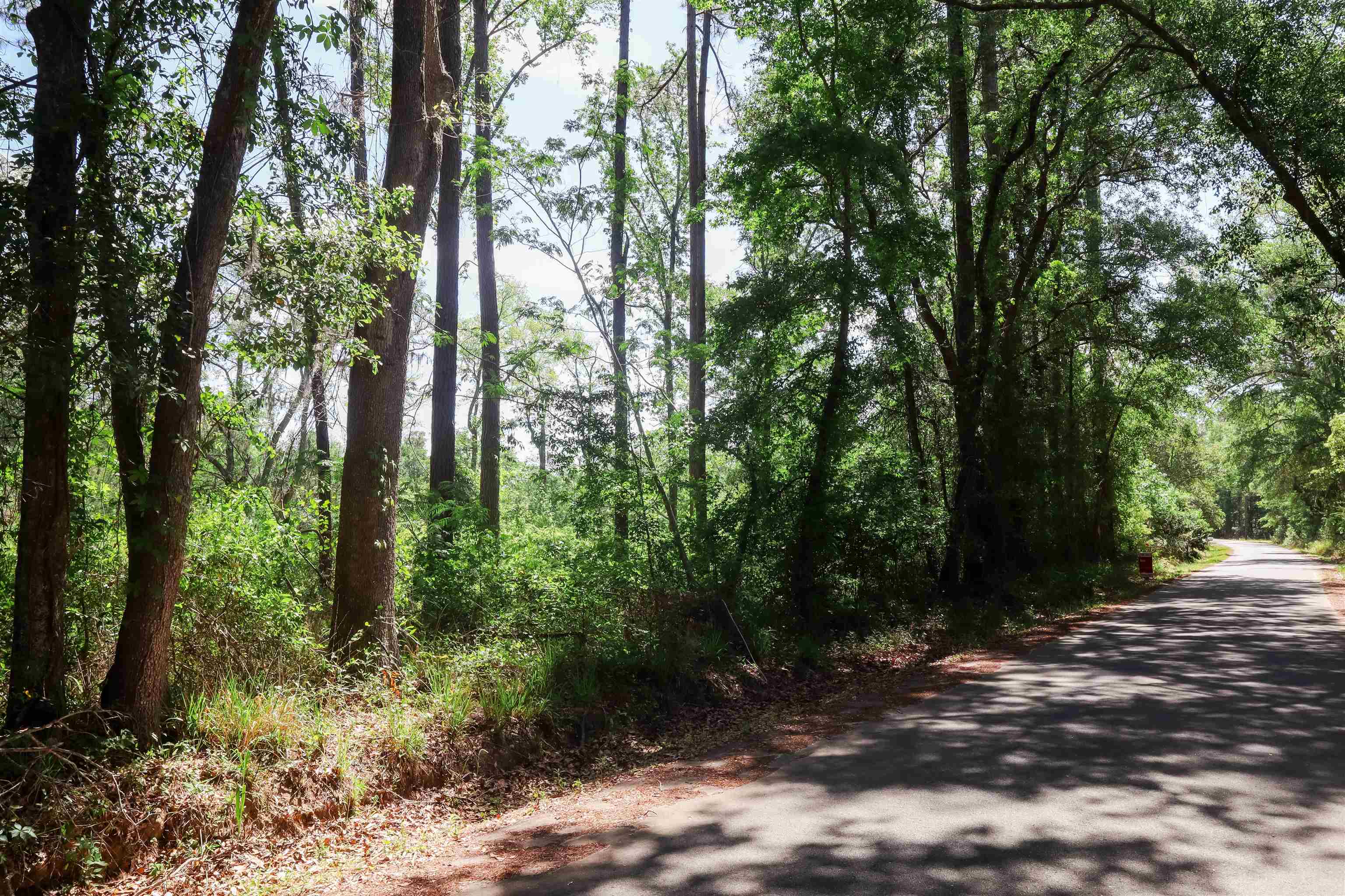 Xxx Hopson Road Monticello, FL 32344 - Photo 18 of 29