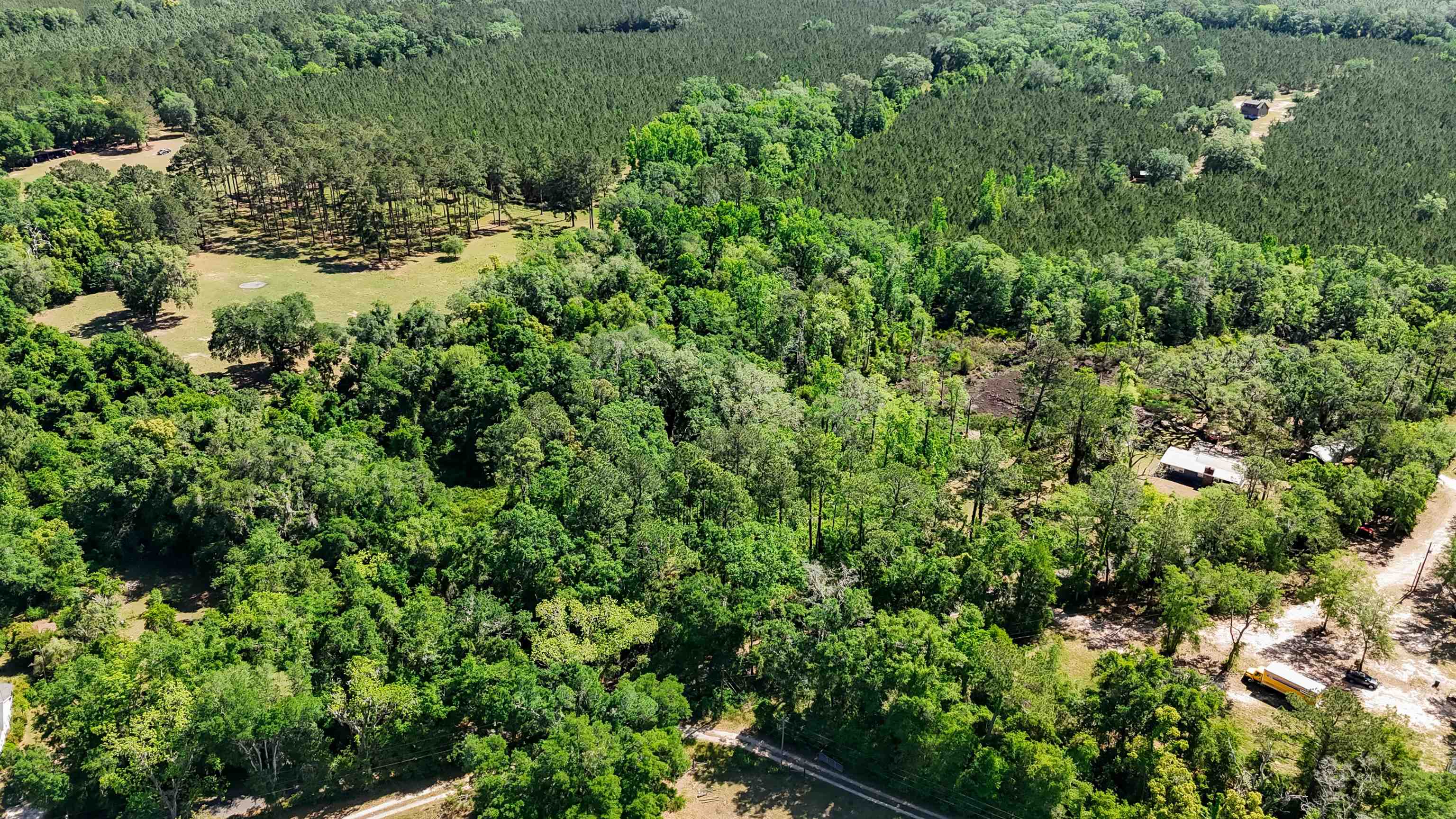 Xxx Hopson Road Monticello, FL 32344 - Photo 2 of 29