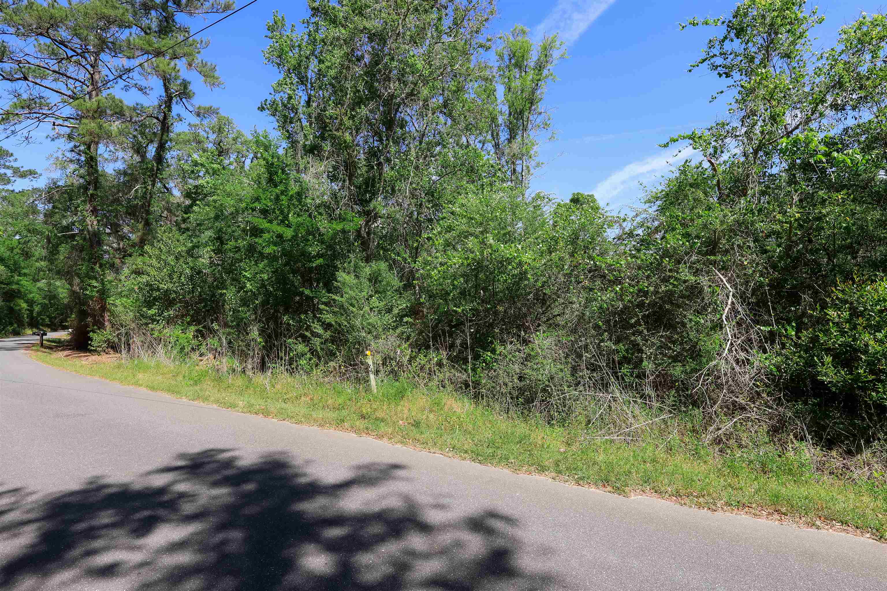 Xxx Hopson Road Monticello, FL 32344 - Photo 21 of 29