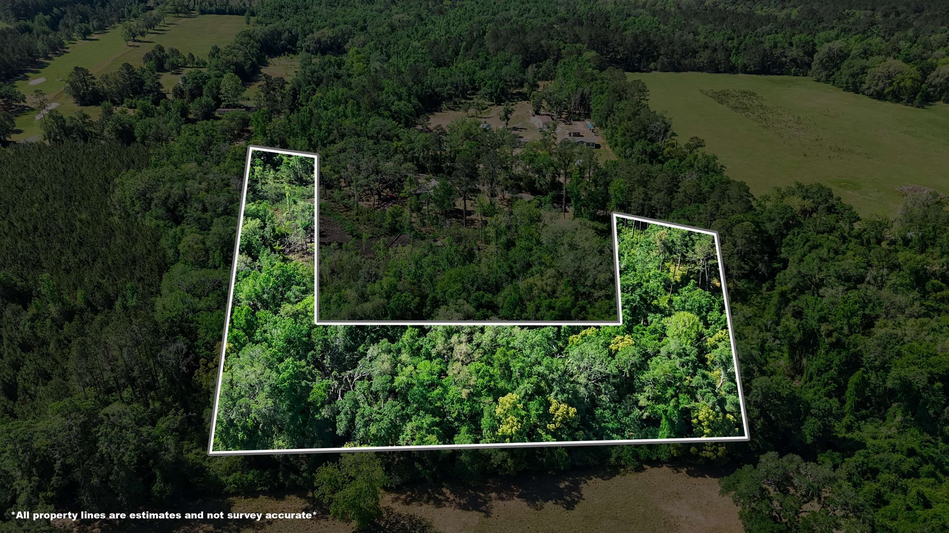 Xxx Hopson Road Monticello, FL 32344 - Photo 26 of 29