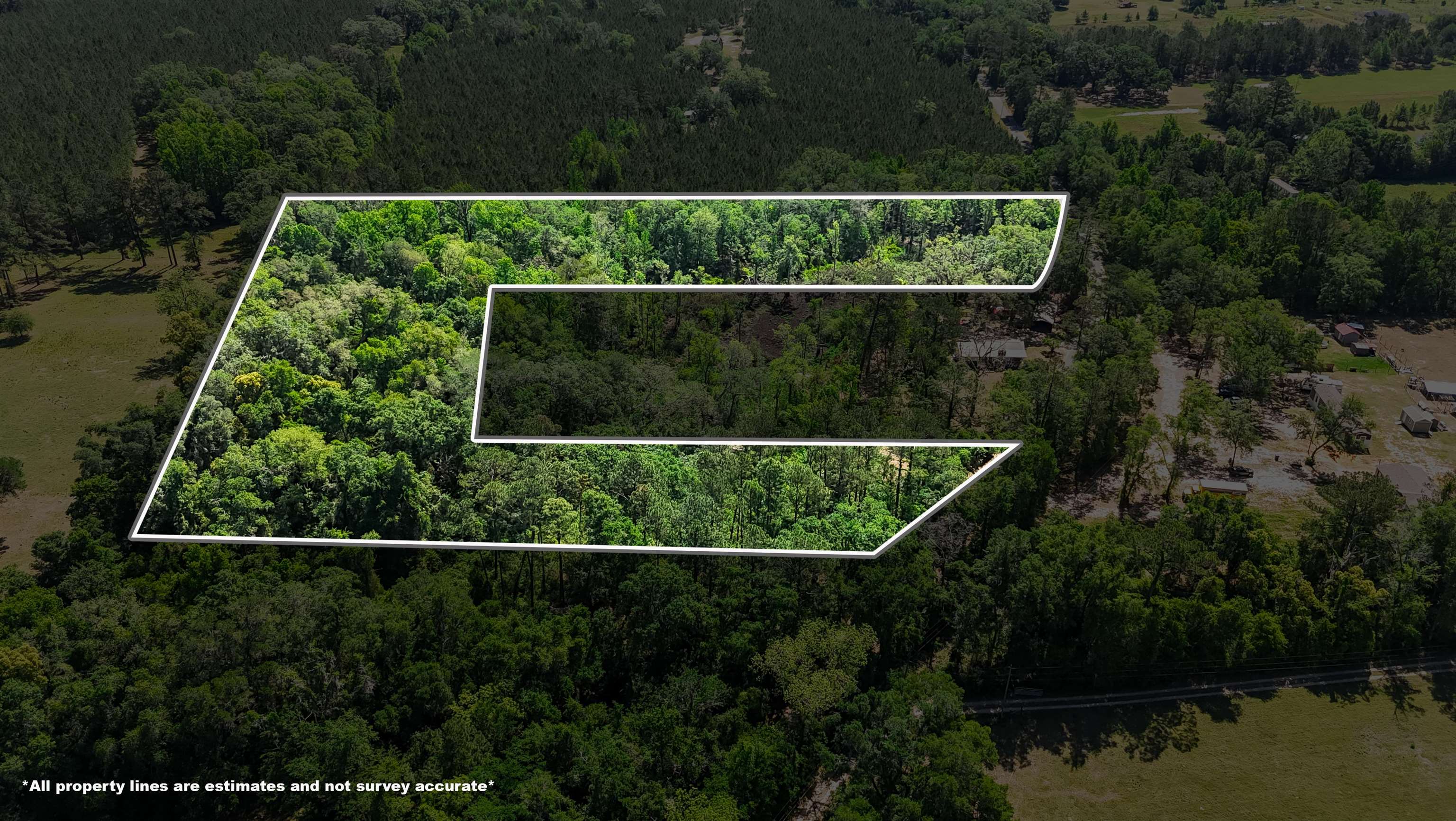 Xxx Hopson Road Monticello, FL 32344 - Photo 27 of 29