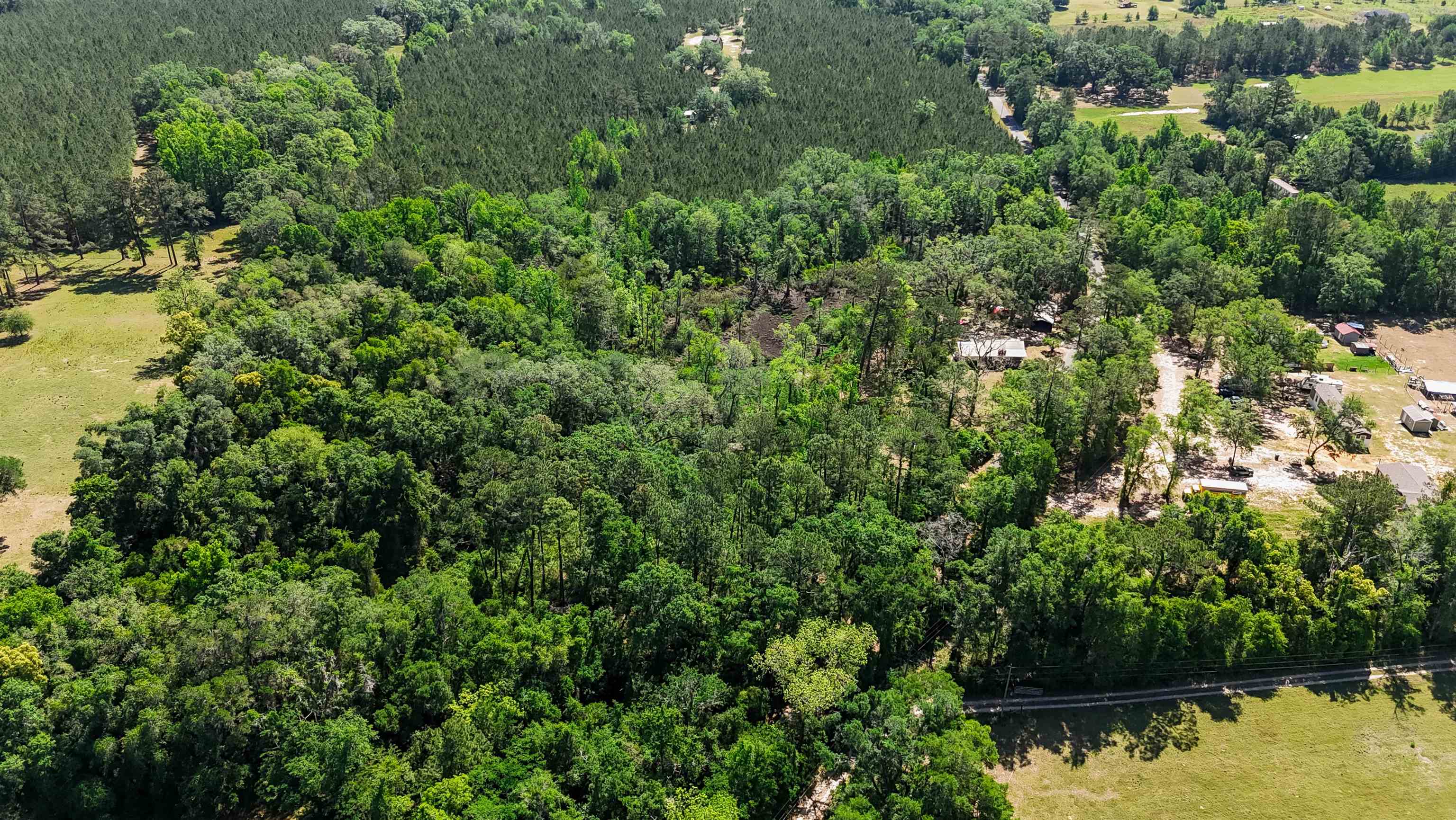 Xxx Hopson Road Monticello, FL 32344 - Photo 3 of 29