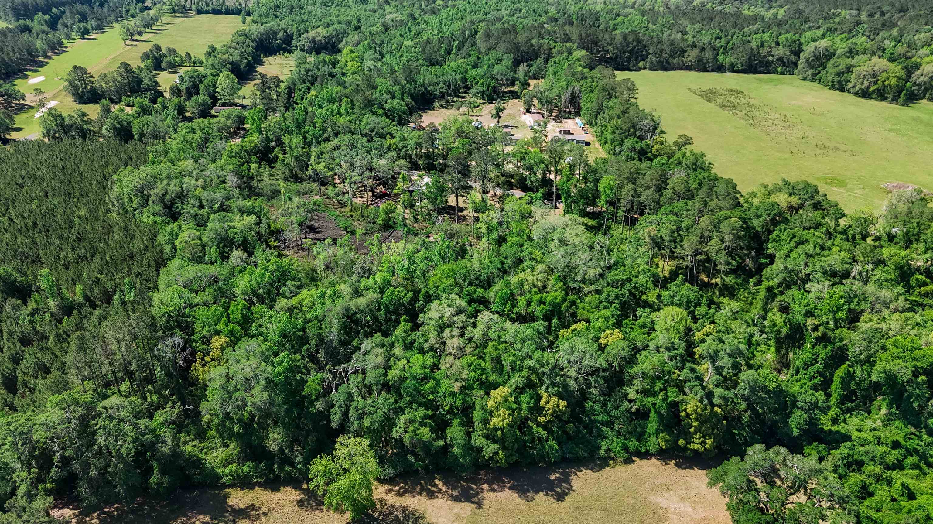 Xxx Hopson Road Monticello, FL 32344 - Photo 4 of 29