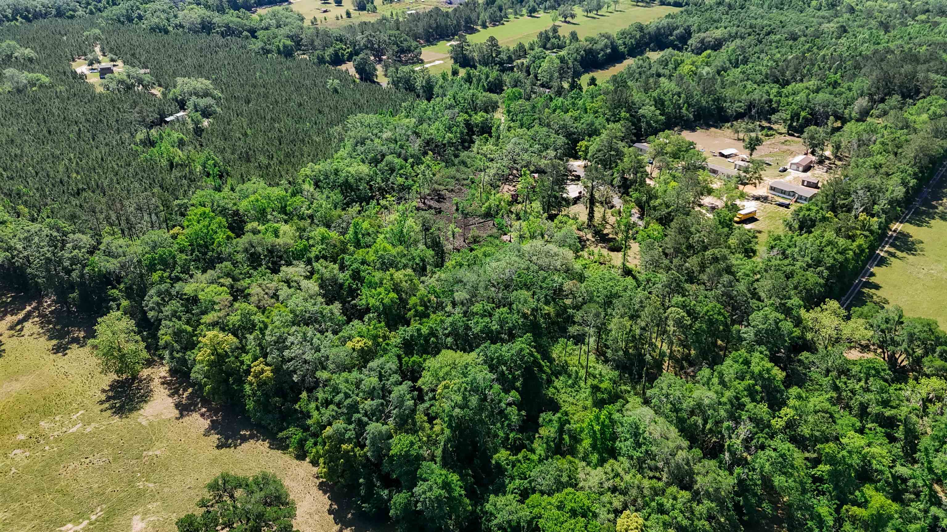 Xxx Hopson Road Monticello, FL 32344 - Photo 5 of 29