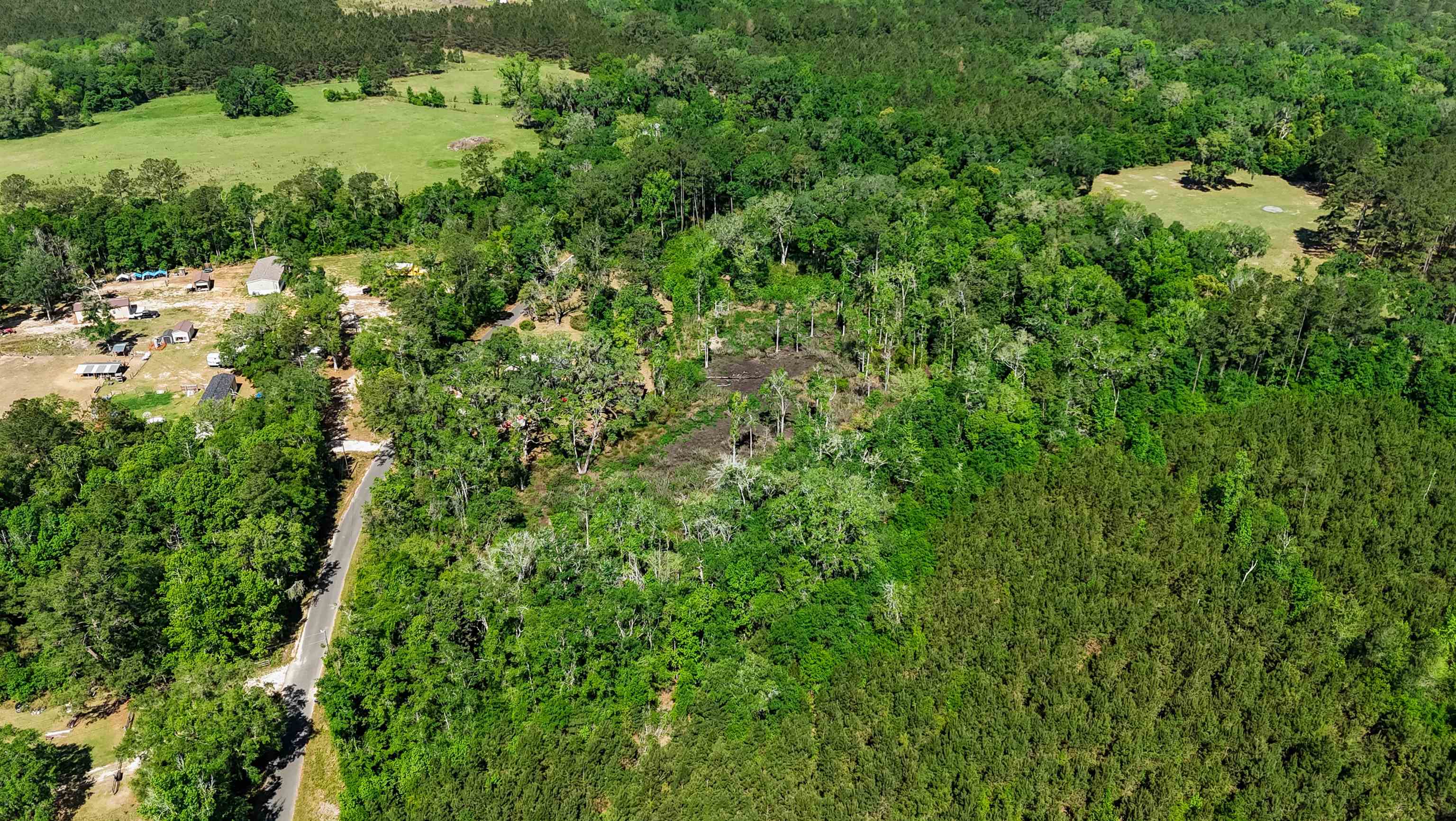 Xxx Hopson Road Monticello, FL 32344 - Photo 6 of 29