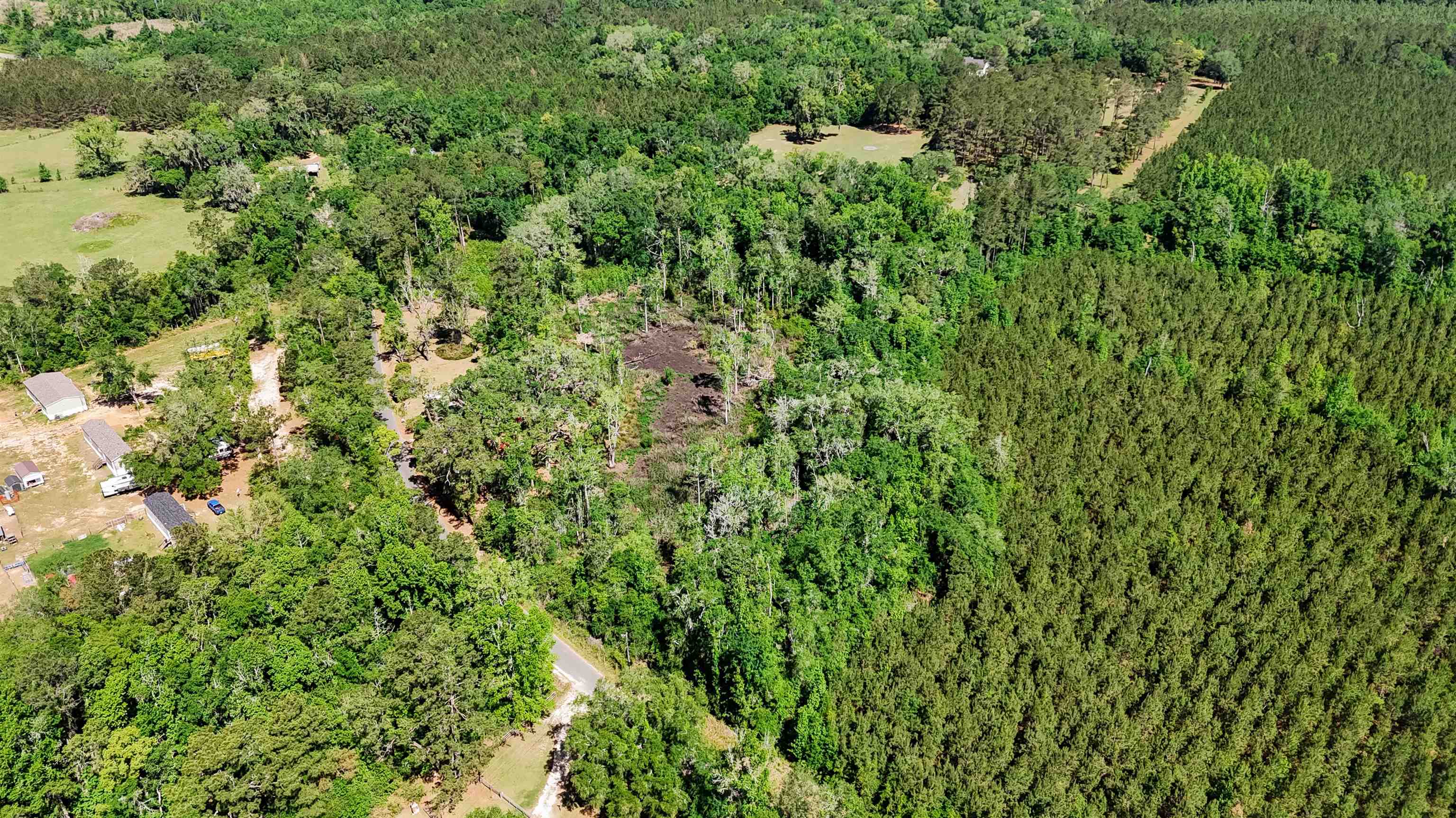 Xxx Hopson Road Monticello, FL 32344 - Photo 7 of 29