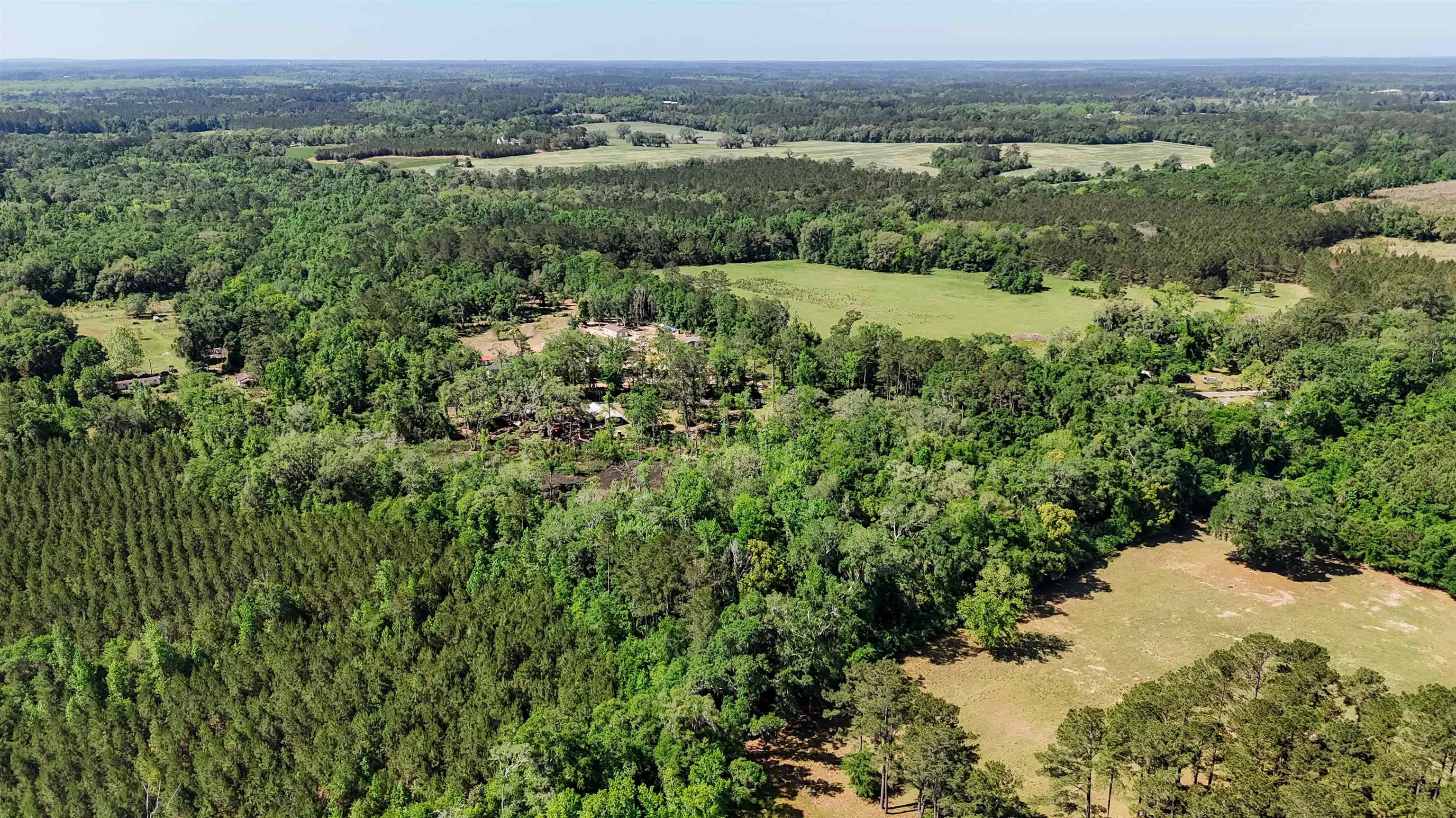 Xxx Hopson Road Monticello, FL 32344 - Photo 9 of 29