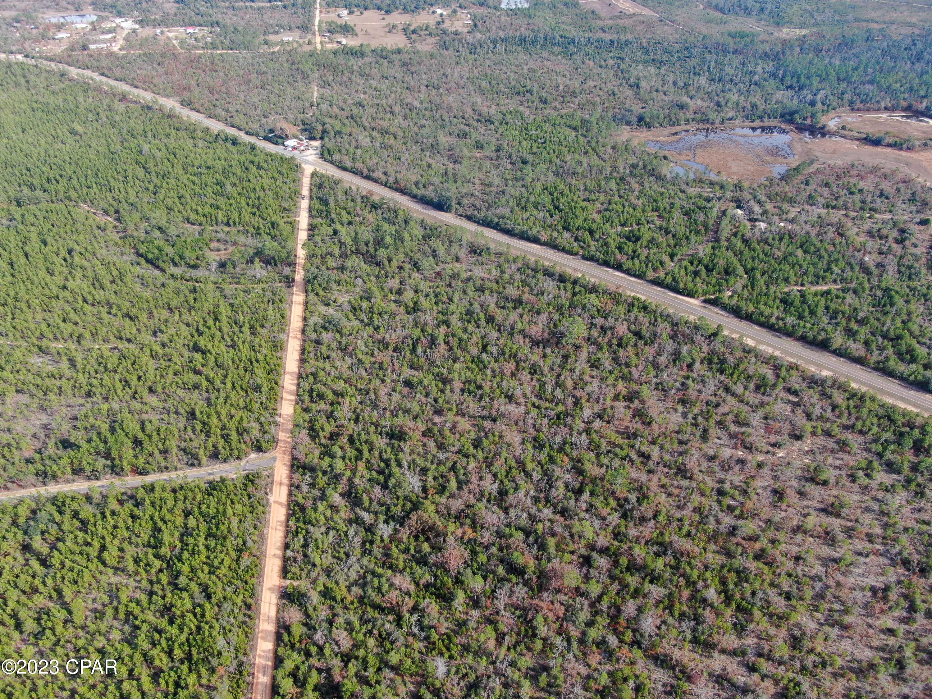 0 Co Road Marianna, FL 32448 - Photo 15 of 29 Gallery Image 15