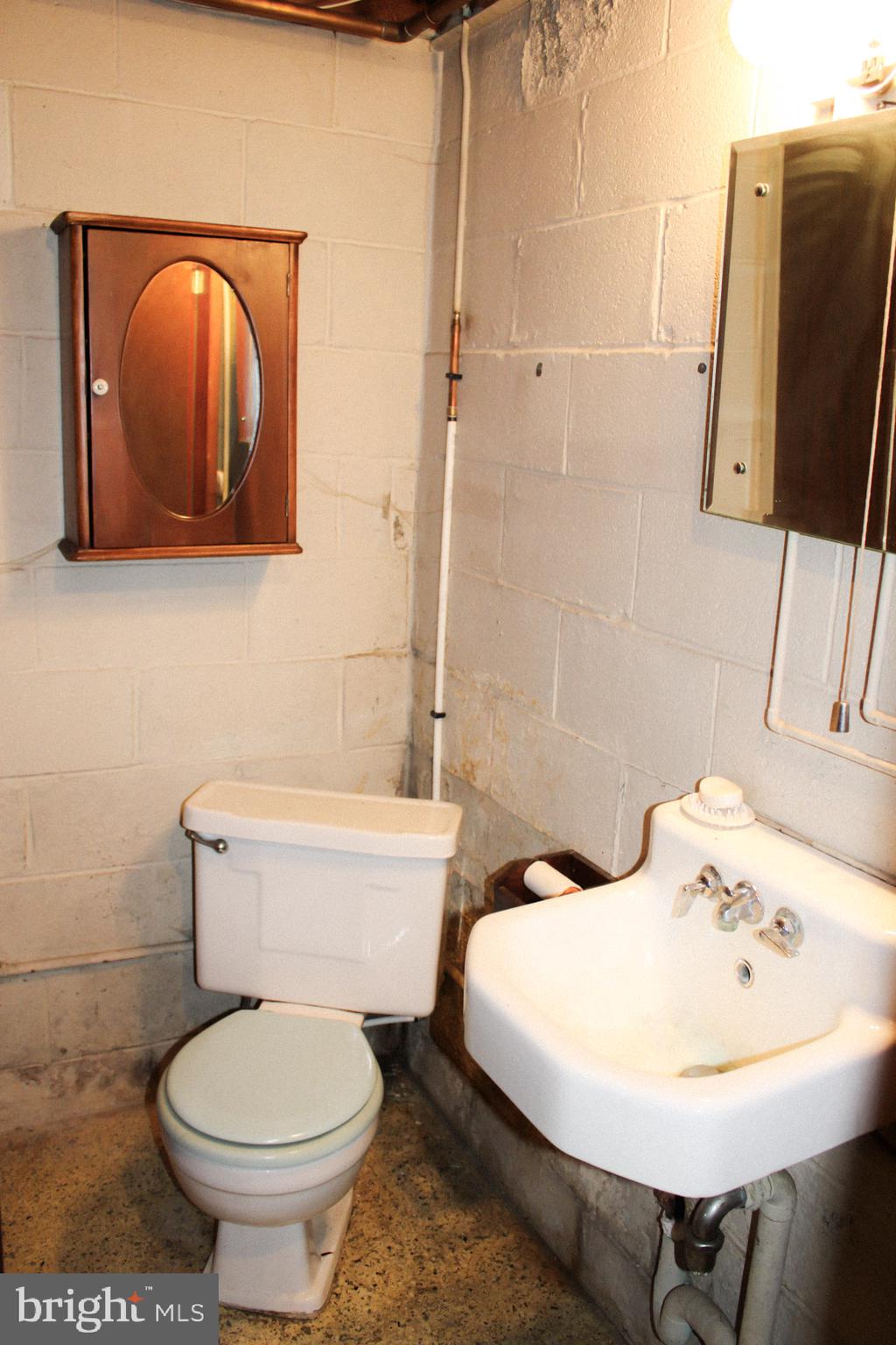 1088 Donegal Springs Road Mount Joy, PA 17552 - Photo 33 of 38 Basement bathroom alt
