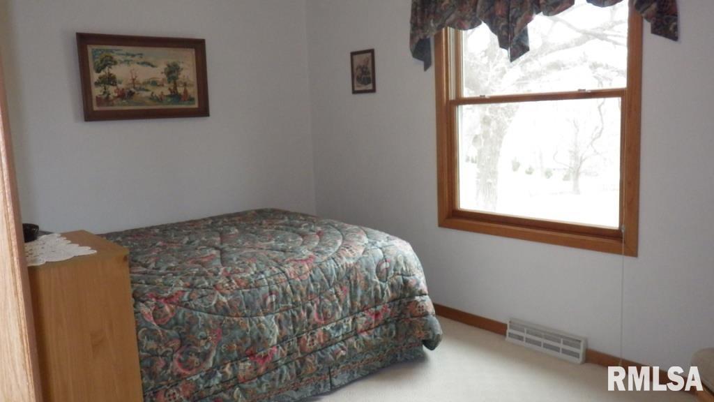 415 Ridge Drive Geneseo, IL 61254 - Photo 17 of 23 Gallery Image 17