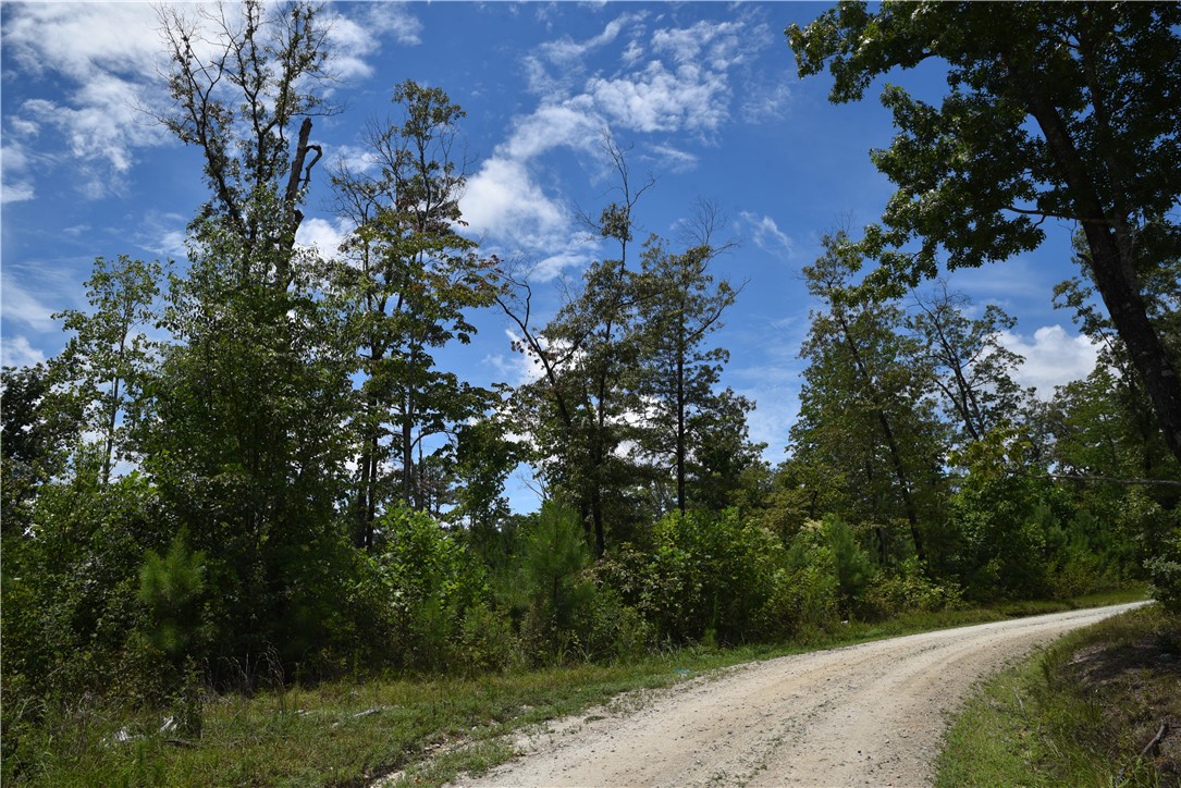 0 Tilson Farm Road Salem, SC 29676 - Photo 1 of 7 Gallery Image 1