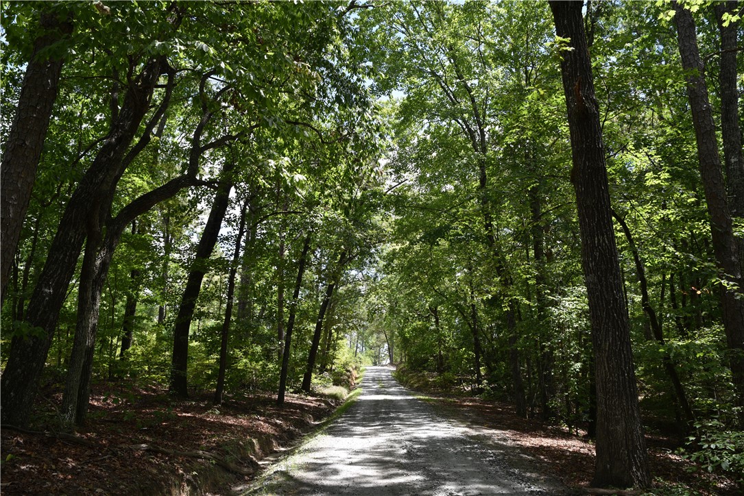 0 Tilson Farm Road Salem, SC 29676 - Photo 4 of 7 Gallery Image 4