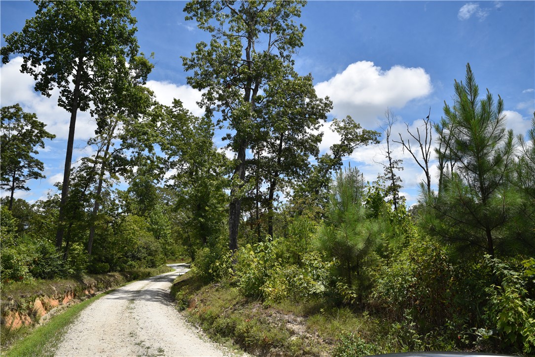 0 Tilson Farm Road Salem, SC 29676 - Photo 5 of 7 Gallery Image 5