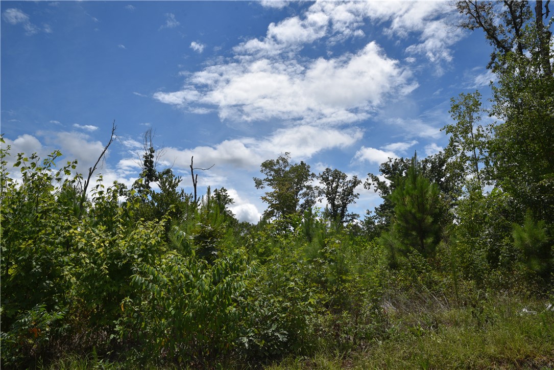 0 Tilson Farm Road Salem, SC 29676 - Photo 6 of 7 Gallery Image 6