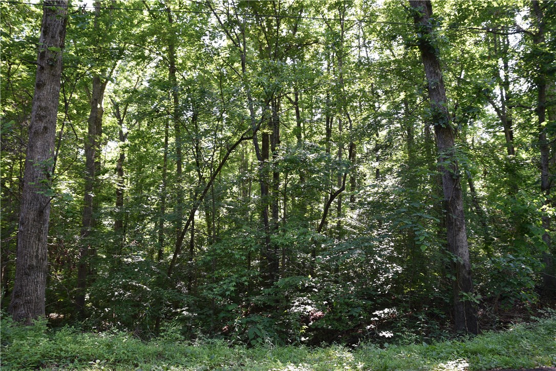 0 Tilson Farm Road Salem, SC 29676 - Photo 7 of 7 Gallery Image 7