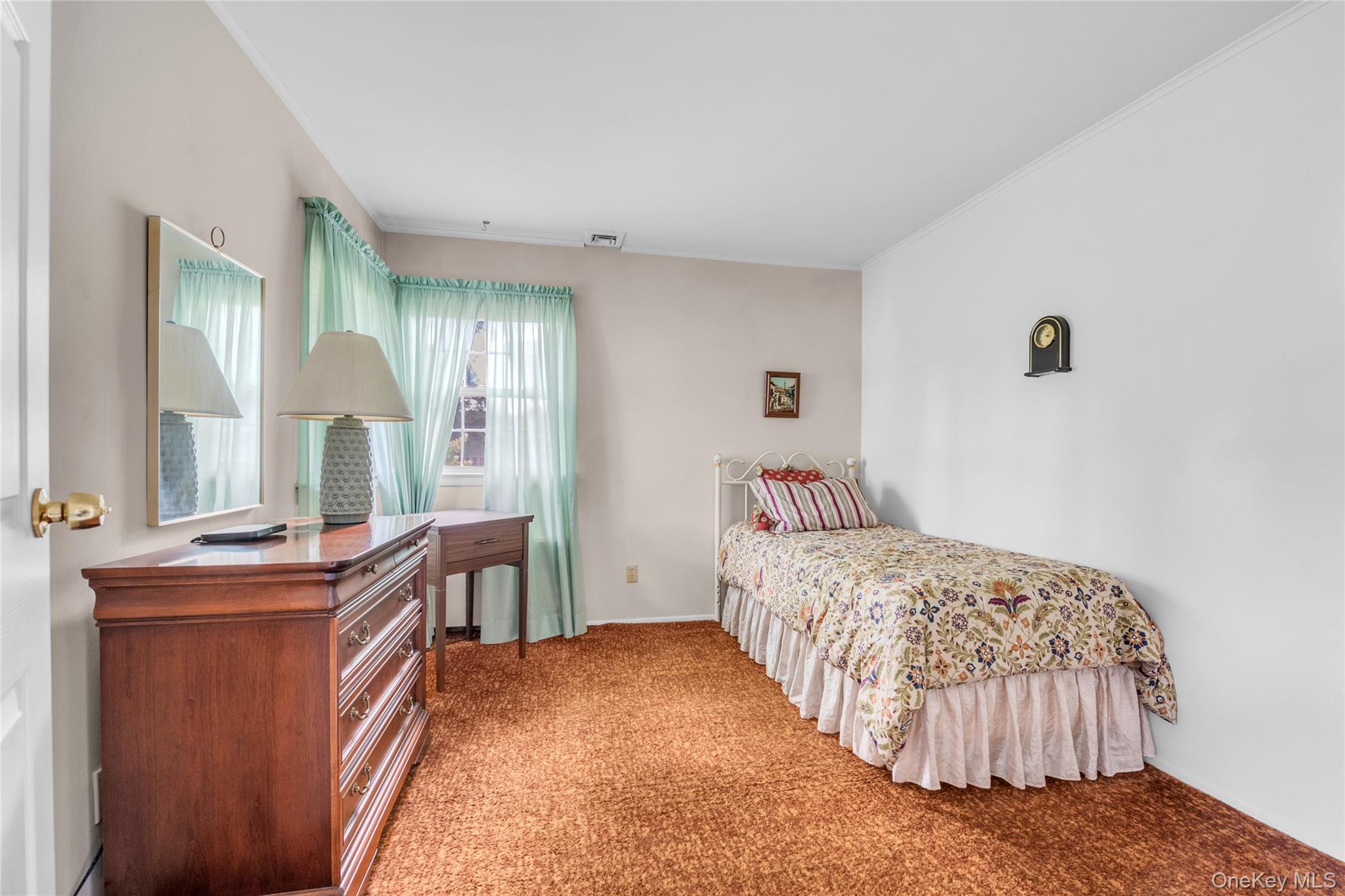 21 Farragut Road Old Bethpage, NY 11804 - Photo 10 of 22 Bedroom with light carpet and ornamental molding