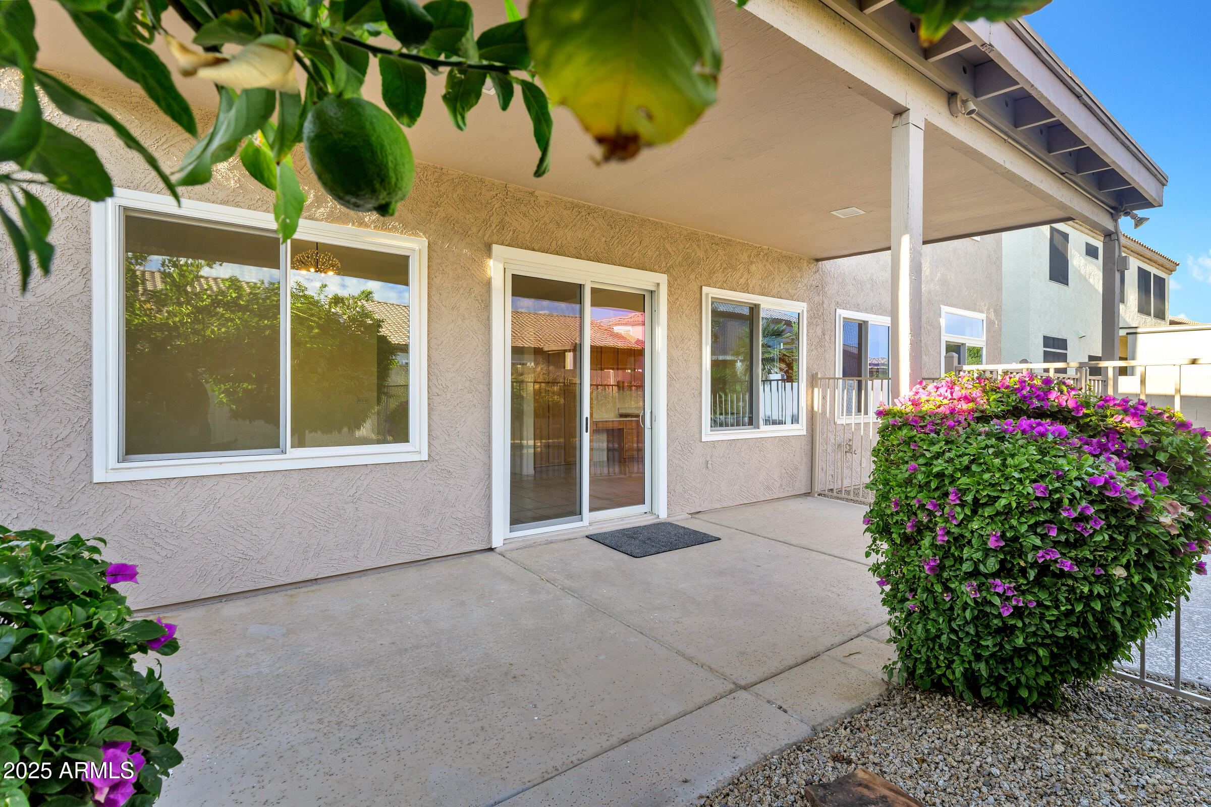 1403 West Windhaven Avenue Gilbert, AZ 85233 - Photo 41 of 64 a view of a garden with a potted plant