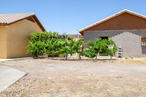 480 Camino Ramanote Rio Rico, AZ 85648 - Photo 34 of 43 Hot tub ramada and grape vines between house and workshop.