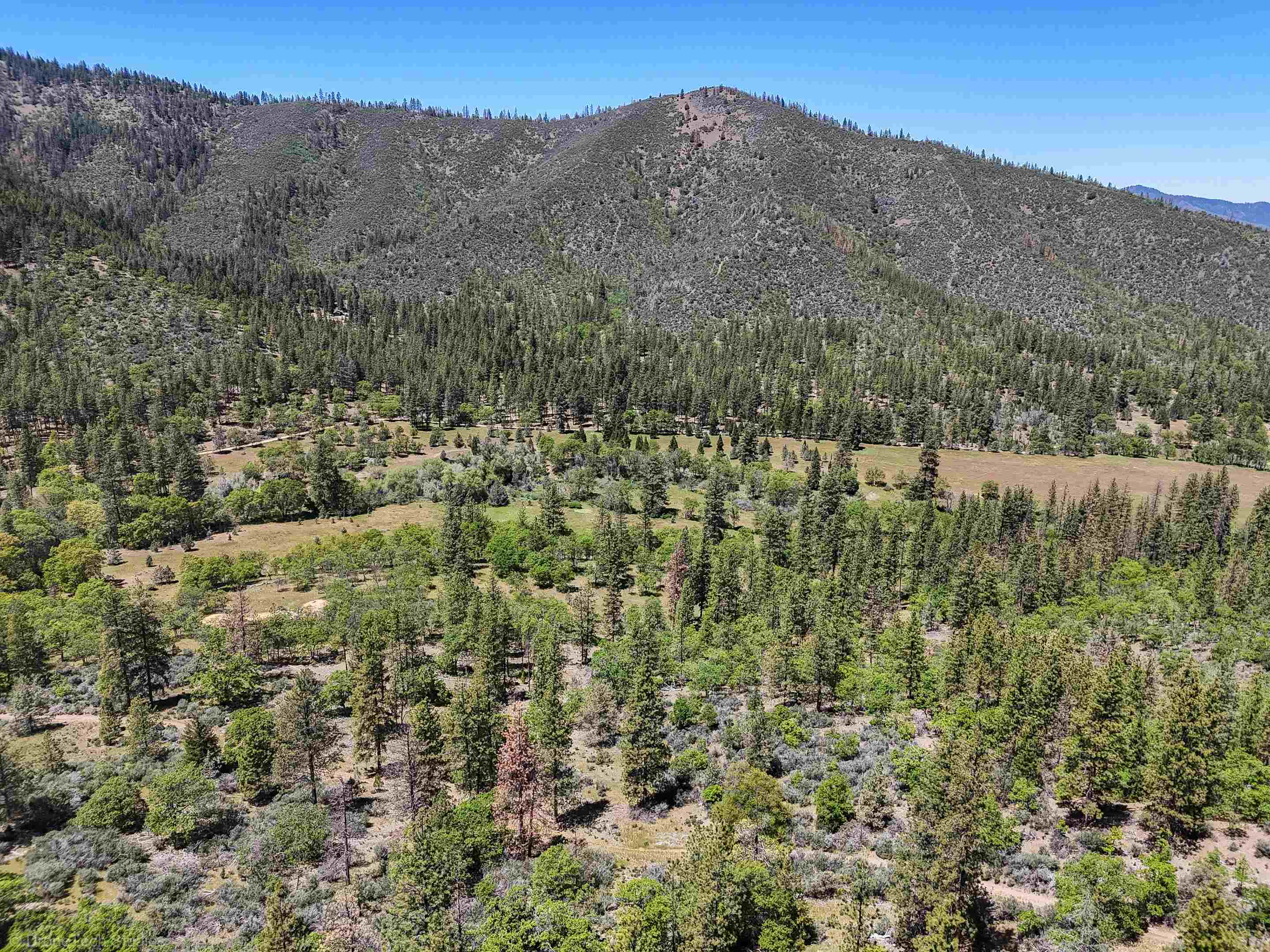 7226 Schulmeyer Gulch Road Yreka, CA 96097 - Photo 14 of 40 Gallery Image 14