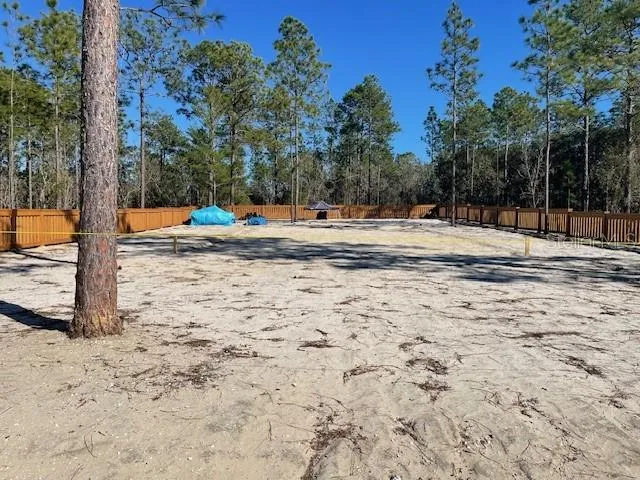 a view of a yard with palm trees