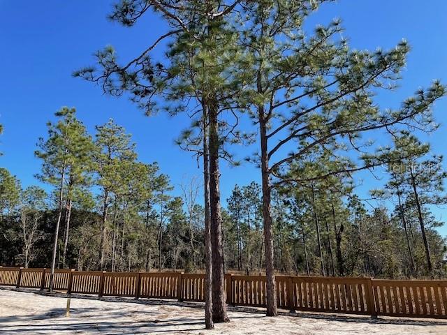 2003 Southwest Deer Park Heights Road Dunnellon, FL 34431 - Photo 11 of 17