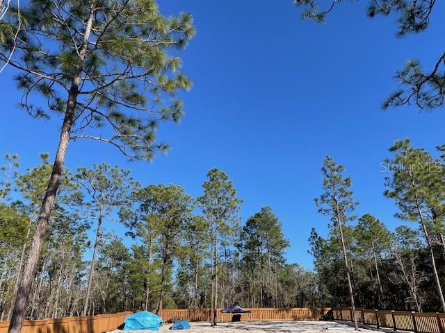 2003 Southwest Deer Park Heights Road Dunnellon, FL 34431 - Photo 12 of 17