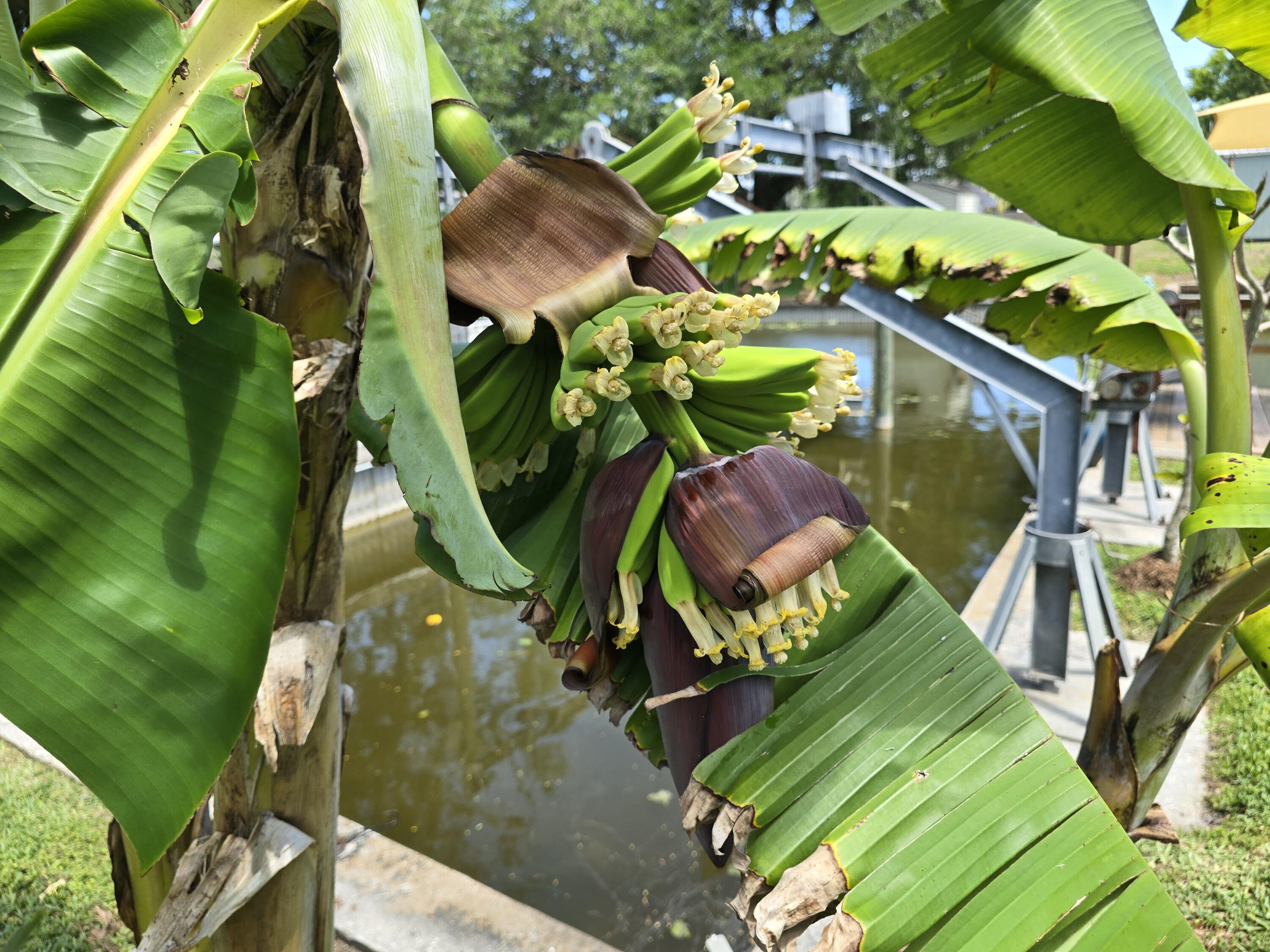 1061 Lake Circle Okeechobee, FL 34974 - Photo 26 of 41 20250405_133850